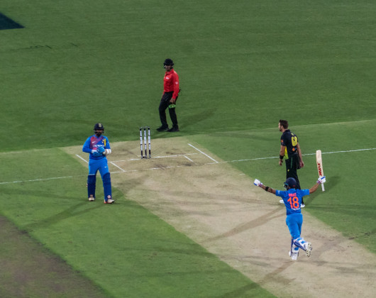 Cricketers on the pitch